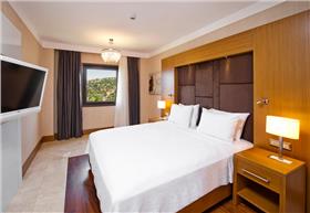 Suite 1 bedroom